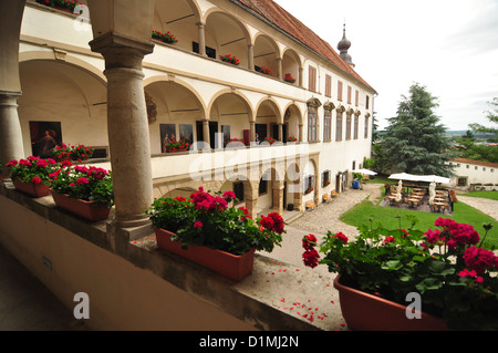 Ptuj Foto Stock