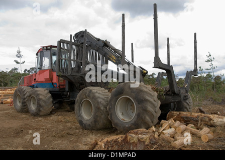 Un caricatore di log in una foresta di pini, vicino Oberon, Nuovo Galles del Sud, Australia Foto Stock