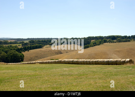 I rotoli di fieno seduti in un paddock in una fattoria nel sud della Victoria, Australia Foto Stock