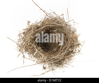 Vuoto reale bird nest isolato su bianco Foto Stock