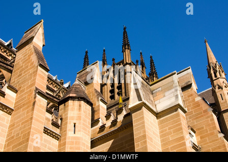 La Cattedrale di St Mary, Sydney, Australia Foto Stock