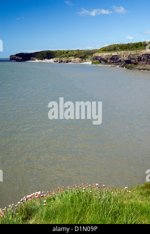 Cliff scena, St Donats, Llantwit Major, Glamorgan Heritage Costa, Vale of Glamorgan, Galles del Sud. Foto Stock