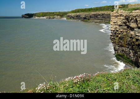 Cliff scena, St Donats, Llantwit Major, Glamorgan Heritage Costa, Vale of Glamorgan, Galles del Sud. Foto Stock