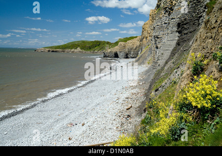 Traeth bach e southerndown glamorgan heritage coast Vale of Glamorgan Galles del Sud Foto Stock
