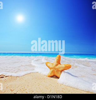 Una vista di una stella di mare sulla spiaggia con il cielo limpido e wave, girato con una inclinazione e spostamento lente Foto Stock