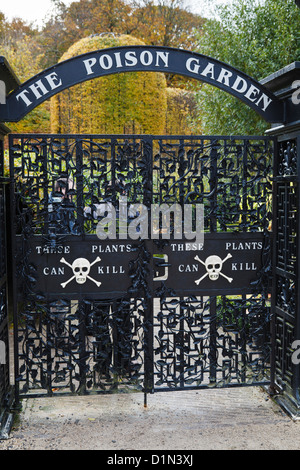 Il Giardino di veleno, Alnwick giardino, Alnwick Castle, Northumberland Foto Stock