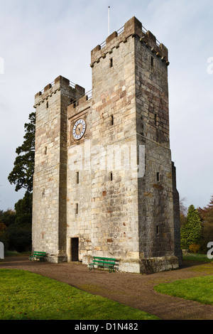 Preston Tower, Northumberland, Inghilterra Foto Stock