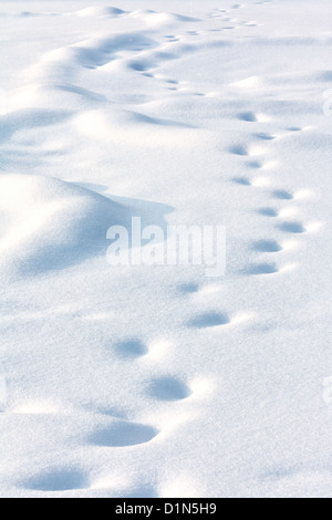 In solitudine umana binari deviati sul bianco della neve in inverno sera Foto Stock