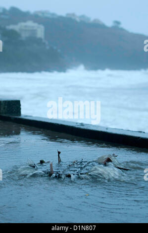 Swansea, Regno Unito. Il 31 dicembre 2012. Una tempesta di lotte di scarico per far fronte con il diluvio delle acque piovane sul lungomare di Langland Bay vicino a Swansea questa mattina come le tempeste batte il Galles del Sud Costa. Credito: Phil Rees / Alamy Live News Foto Stock