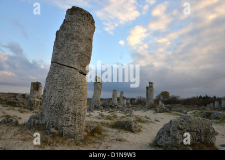 Pobiti Kamani o la Foresta di Pietra è un fenomeno di roccia si trova in provincia di Varna, Bulgaria, Foto Stock