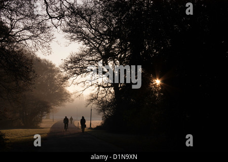 Un inverno mattina al Comune di Southampton Hampshire REGNO UNITO Foto Stock