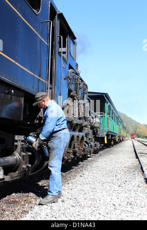 Cass Scenic Railroad State Park, West Virginia, USA Foto Stock