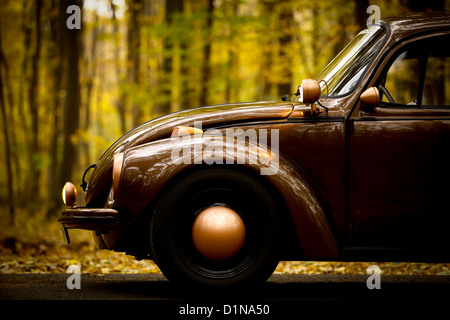 Girato a colori di un'auto d'epoca in una foresta Foto Stock
