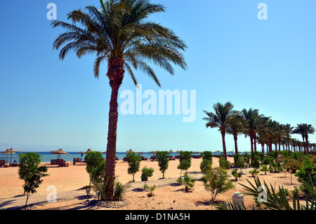 Il Marriott Hotel beach, Taba Heights holiday resort complesso al Monte Sinai in Egitto. Foto Stock