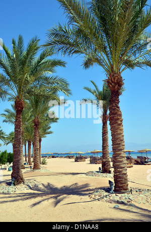 Il Marriott Hotel beach, Taba Heights holiday resort complesso al Monte Sinai in Egitto. Foto Stock