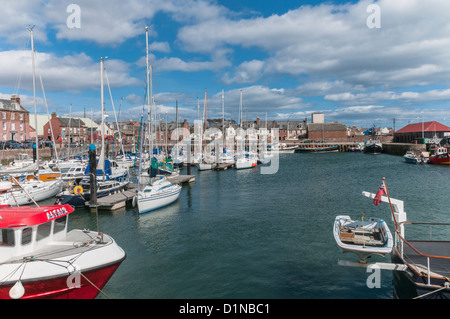 Barche e yacht nel porto interno Arbroath Angus Scozia Scotland Foto Stock