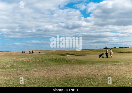 Golf links a Carnoustie Angus Scozia Scotland Foto Stock