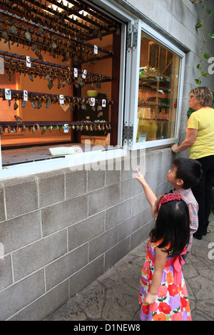 I bambini in Cambridge Conservatory della Farfalla, Ontario, Canada Foto Stock