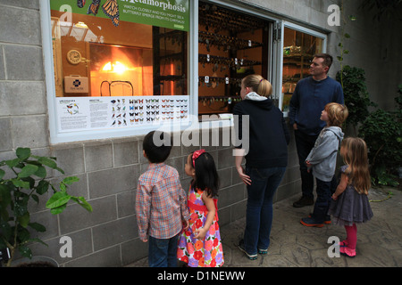 I bambini in Cambridge Conservatory della Farfalla, Ontario, Canada Foto Stock