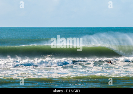 Surfer paddling out al surf break, unridden onda nel retro, Burleigh capi surf break, Gold Coast, Queensland, Australia Foto Stock