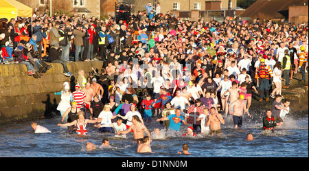 Giorno di nuovi anni nuotatori prendere parte al traghetto di Broughty Dook,Dundee,Angus ,Scotland,UK,Martedì, 1 gennaio 2013 Foto Stock