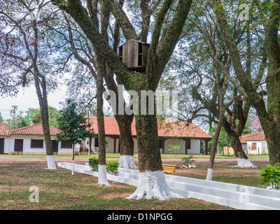 Una scimmia in legno fatti in casa per le scimmie che vivono in un parco pubblico in una piccola città in Paraguay è collocato nel crouch di un albero. Foto Stock