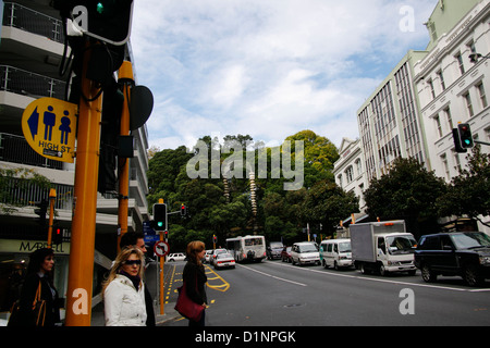 Albert Park visto da Victoria Street West nel centro di Auckland. Foto Stock