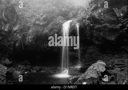 Cascata di montagna con la nebbia di mattina la deriva verso il basso a partire da sopra e un muschio coperto rock accanto alla caduta di acqua in b&W Foto Stock