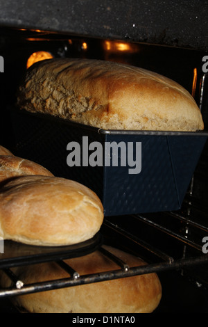 La cottura del pane nel ventilatore forno assistita Foto Stock