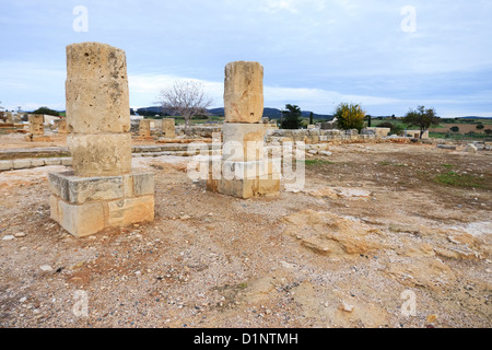 Corre l'antico santuario di Afrodite, area di Paphos, Cipro Foto Stock