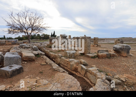 Corre l'antico santuario di Afrodite, area di Paphos, Cipro Foto Stock