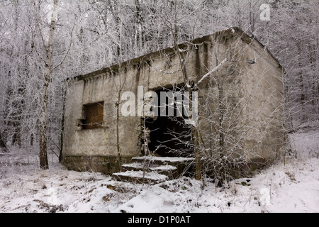 Un vecchio edificio abbandonato circondato da alberi smerigliato. Foto Stock