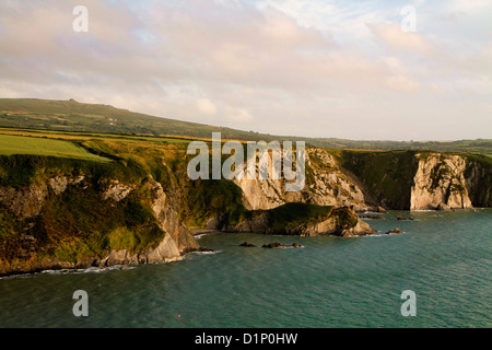 Il Nord Pembrokeshire Coast visto dalla costa percorso in corrispondenza della testa di dinas tra Newport e Fishguard, Wales, Regno Unito Foto Stock