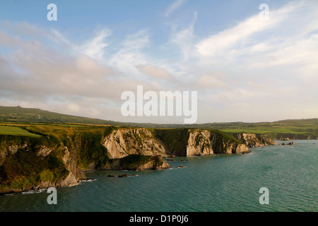 Il Nord Pembrokeshire Coast visto dalla costa percorso in corrispondenza della testa di dinas tra Newport e Fishguard, Wales, Regno Unito Foto Stock