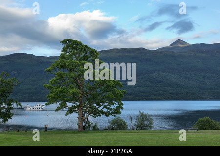 Loch Lomond visto da Tarbet, Scozia Foto Stock