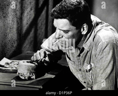 Der Gefangene Von Alcatraz Birdman Alcatraz Burt Lancaster Der zu lebenslanger Haft verurteilte Robert Stroud (Burt Foto Stock