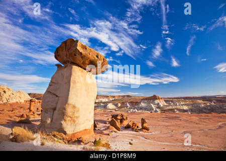 Toadstool Paria Rimrocks vicino a Kanab Grand Staircase-Escalante Monumento Nazionale Utah Stati Uniti d'America USA US Foto Stock