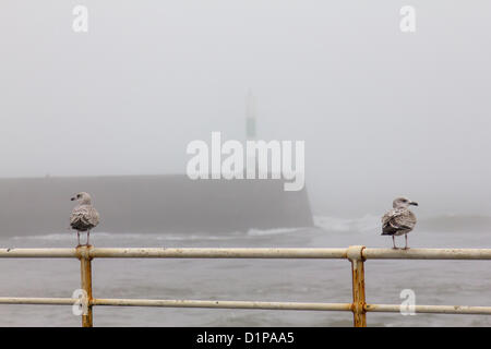 Aberystwyth, Galles, UK, 2 gennaio 2013. Il triste meteo sulla costa occidentale del Galles continua nel nuovo anno. In caso di forti piogge e inondazioni, il mare in tempesta, mid Wales coast è avvolta nella nebbia pesante. Credito: atgof.co / Alamy Live News Foto Stock