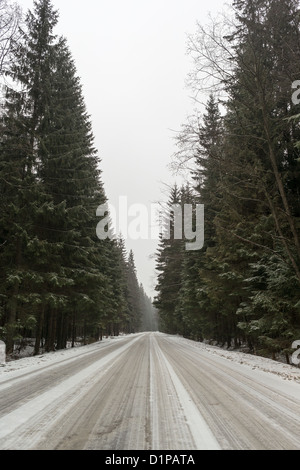 Strada nella foresta Foto Stock