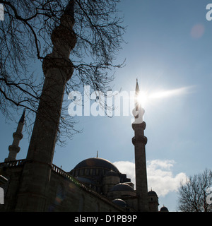 La Moschea di Suleymaniye, terzo colle, Istanbul, Turchia Foto Stock