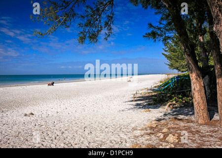 La spiaggia di sabbia bianca su Anna Maria Island in Florida Foto Stock