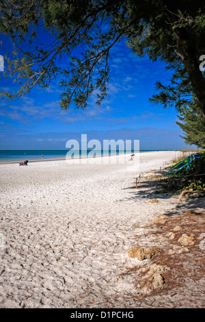 La spiaggia di sabbia bianca su Anna Maria Island in Florida Foto Stock