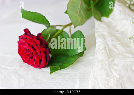 Wedding rosa rossa sul pizzo bianco Foto Stock