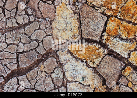 Configurazioni formate nelle alghe e minerali intorno a molle geotermica nei pressi di Grindavik, Islanda Foto Stock