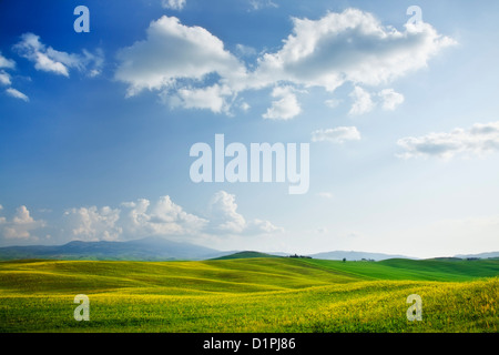 Vista sulla Val d'Orcia con molla di fiori di campo nei pressi di Pienza, Val d'Orcia Toscana, Italia, Europa Foto Stock