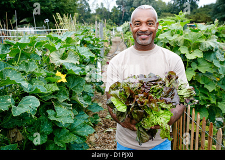 Uomo nero tenendo la lattuga nel giardino della comunità Foto Stock