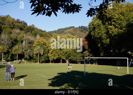 Il sito della Nuova Zelanda prima rugby football match il 14 maggio 1870 tra Nelson club di rugby e Nelson College. Foto Stock