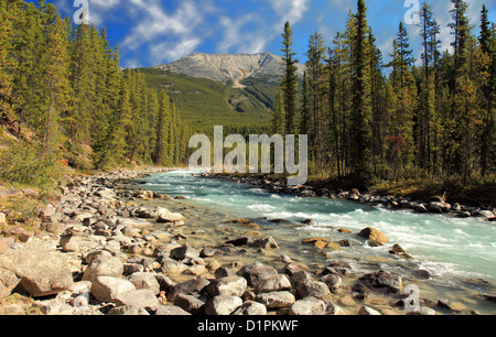 L'Athabasca River nel Parco Nazionale di Jasper, Alberta Foto Stock