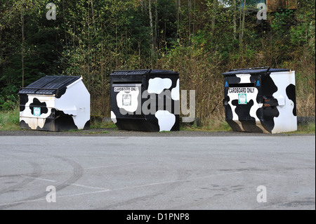 La baia di vacca patterns, Prince Rupert, British Columbia, Canada Foto Stock