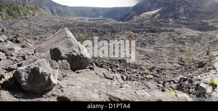 Grandi rocce vulcaniche del Kilauea Iki cratere piano Hawaii Il Parco Nazionale del Vulcano, Hawaii Foto Stock